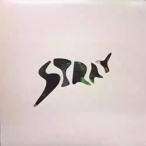 Cover di Stray