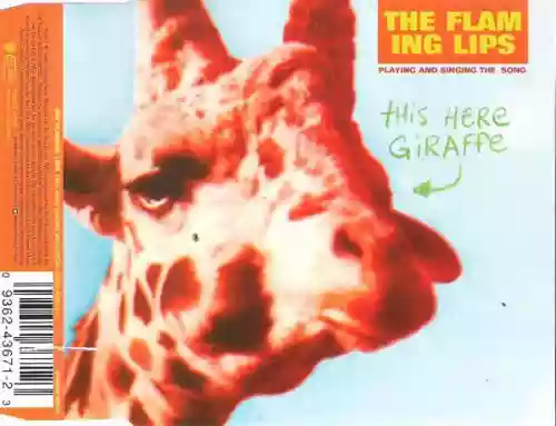 Cover di This Here Giraffe