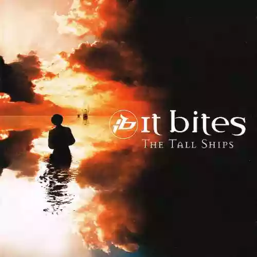Cover di The Tall Ships