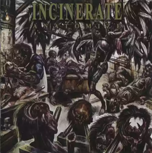 Cover di Anatomize