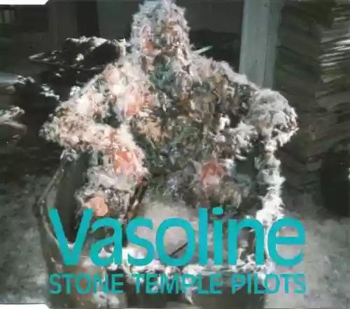 Cover Stone Temple Pilots - Vasoline