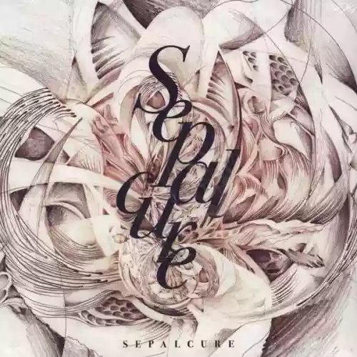 Cover di Sepalcure