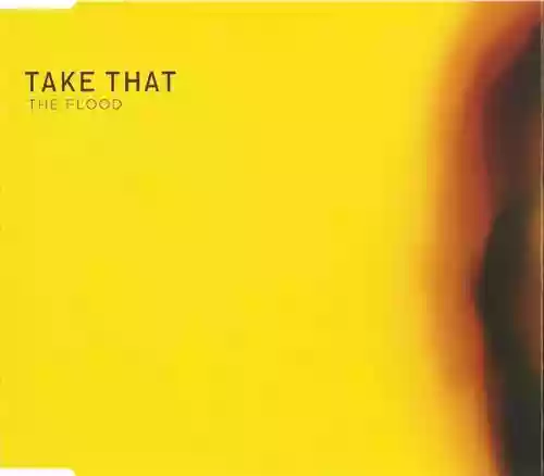 Cover Take That - The Flood