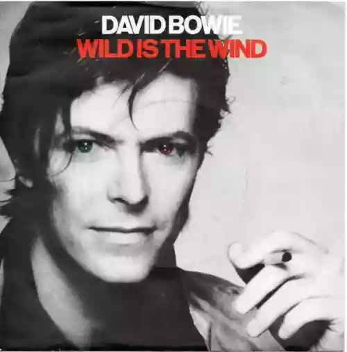 Cover David Bowie - Wild Is the Wind