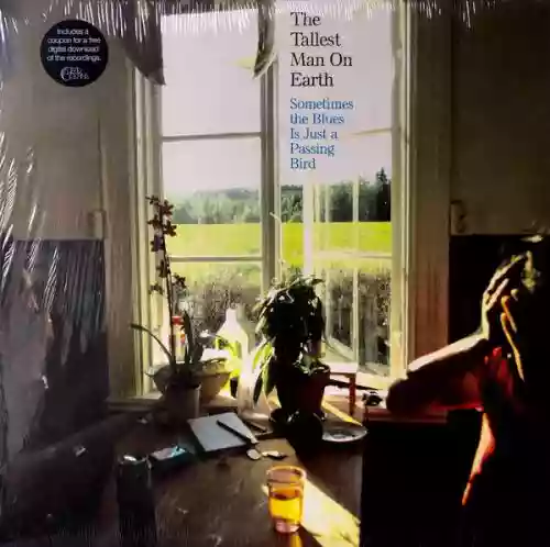 Cover di Sometimes the Blues Is Just a Passing Bird