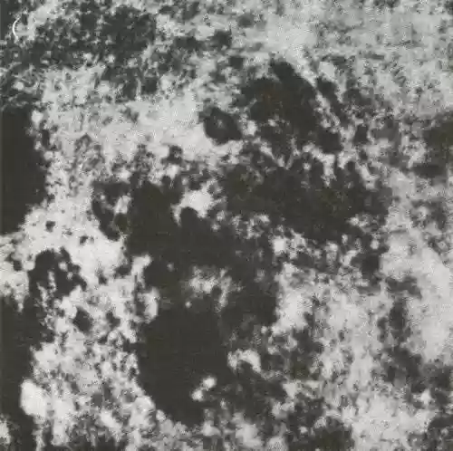 Cover Grouper - A I A : Dream Loss