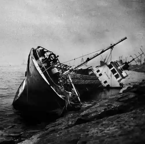 Cover Oiseaux-Tempête - Ütopiya?