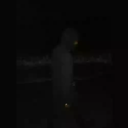 Cover Death Grips - Birds
