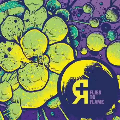 Cover Rosetta - Flies to Flame