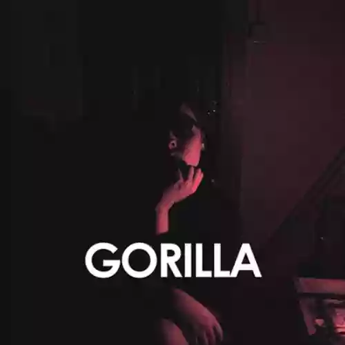 Cover Velvet Morning - Gorilla
