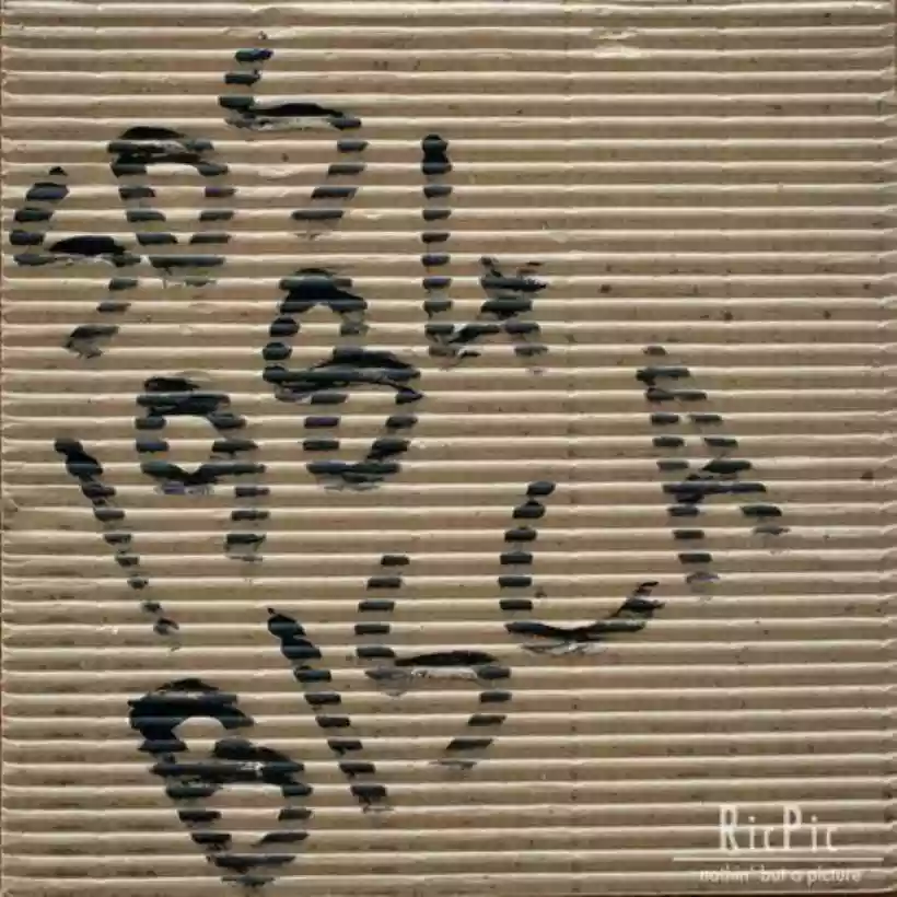 Ingrandisci questa immagine